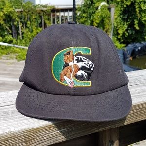 dad hats and snapbacks